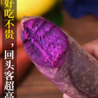 紫薯新鲜板栗红薯番薯地瓜蜜薯糖心10斤山芋烟薯香薯蔬菜农家自种