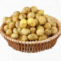 恩施小土豆现挖湖北新鲜黄心土豆10斤当季蔬菜整箱迷你马铃薯洋芋