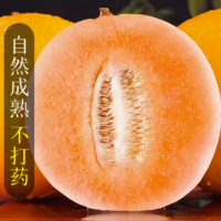 黄河蜜甜瓜新鲜水果当季10斤整箱包邮沙漠黄金香瓜哈密瓜甘肃民勤