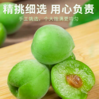 云南高山青梅鲜果现货5斤水果2023当季现摘大果泡酒专用新鲜梅子